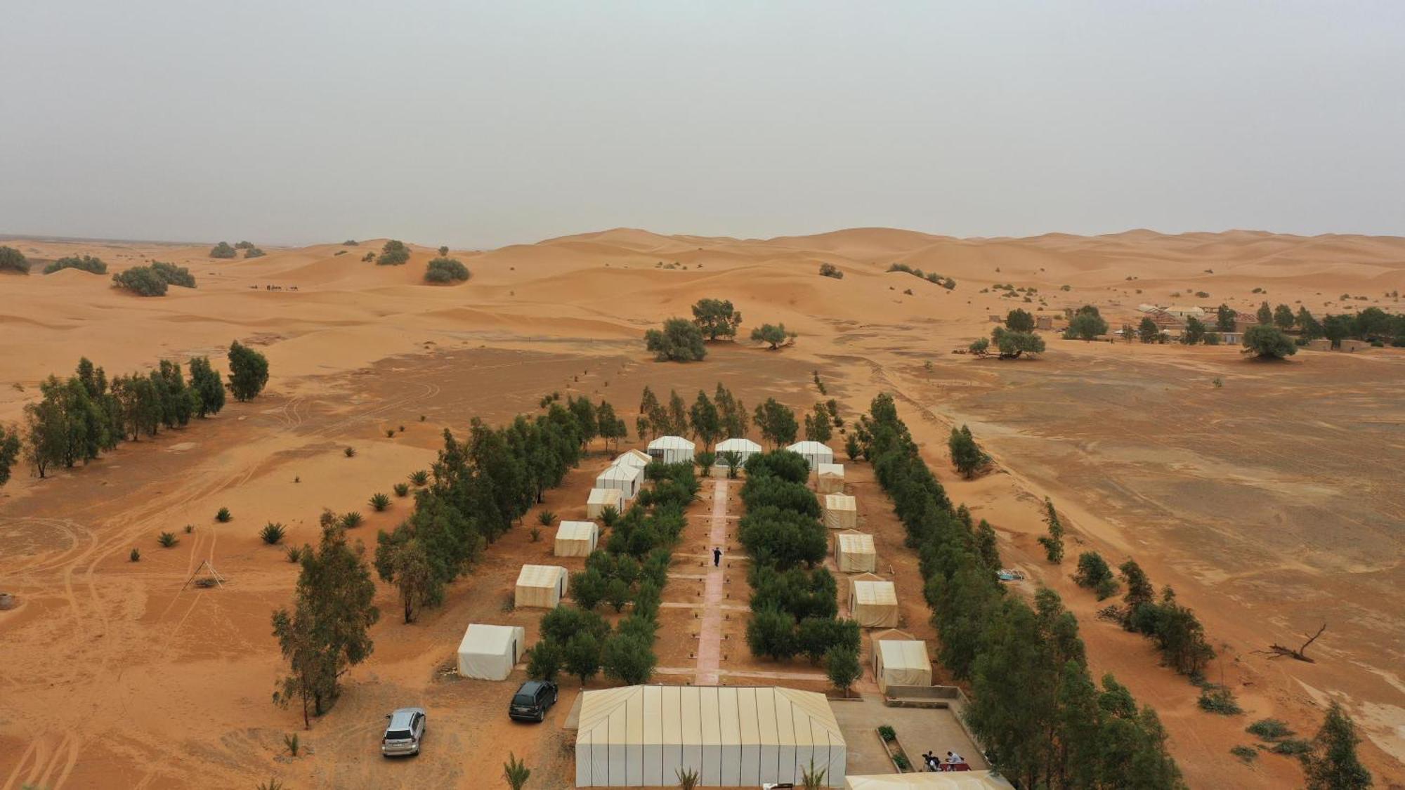 Trek Desert Morocco Sarl Taouz Eksteriør billede
