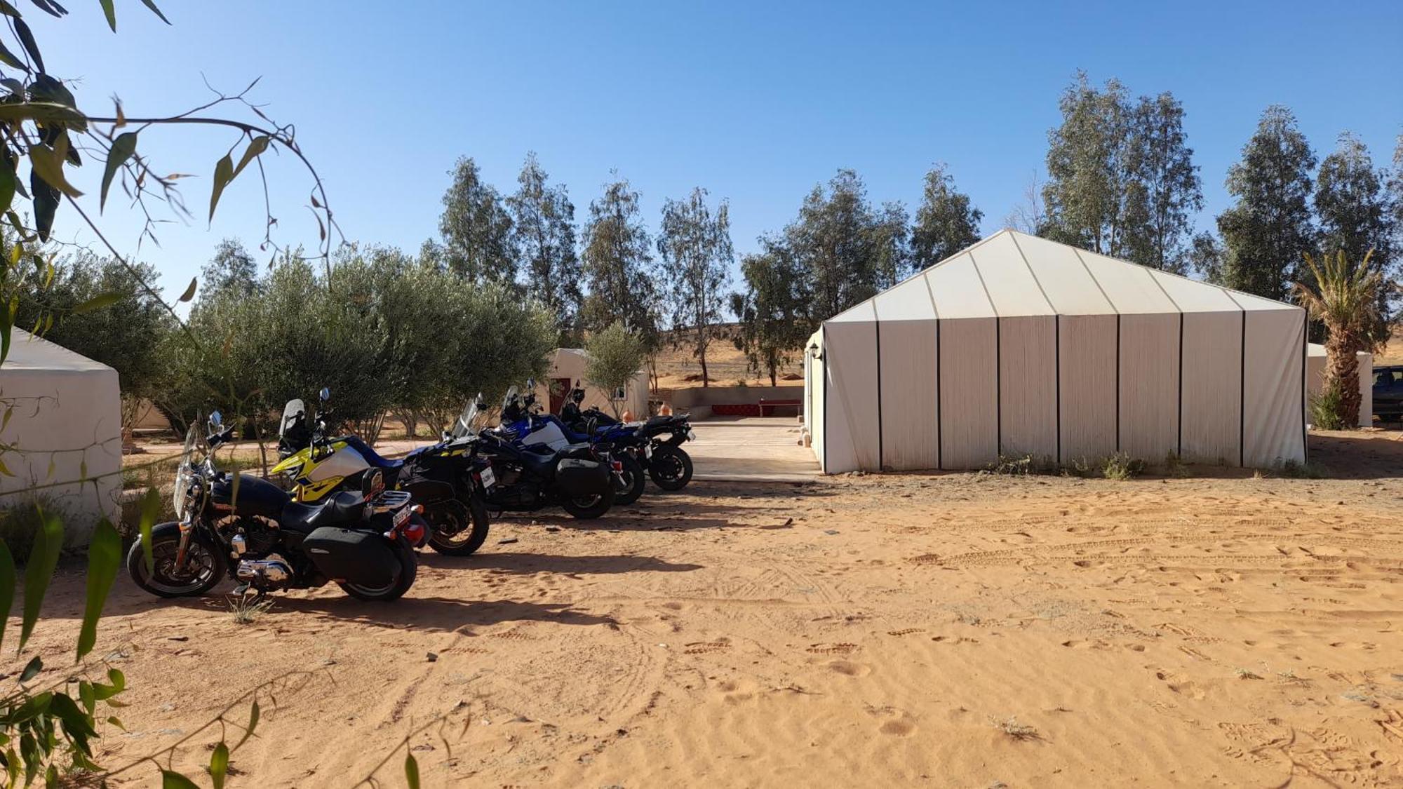 Trek Desert Morocco Sarl Taouz Eksteriør billede