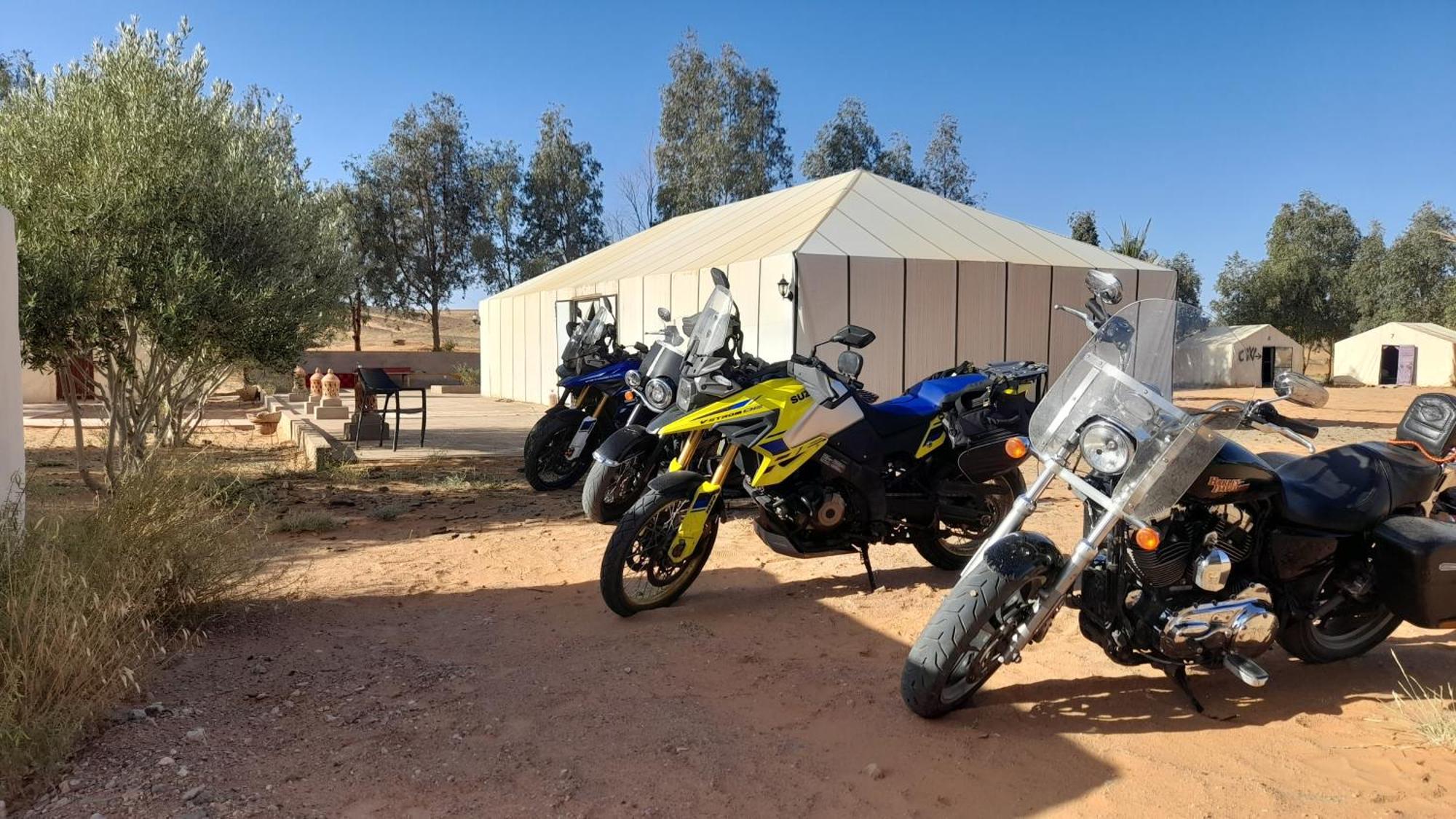 Trek Desert Morocco Sarl Taouz Eksteriør billede