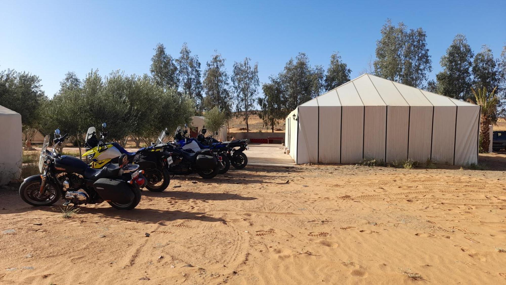 Trek Desert Morocco Sarl Taouz Eksteriør billede