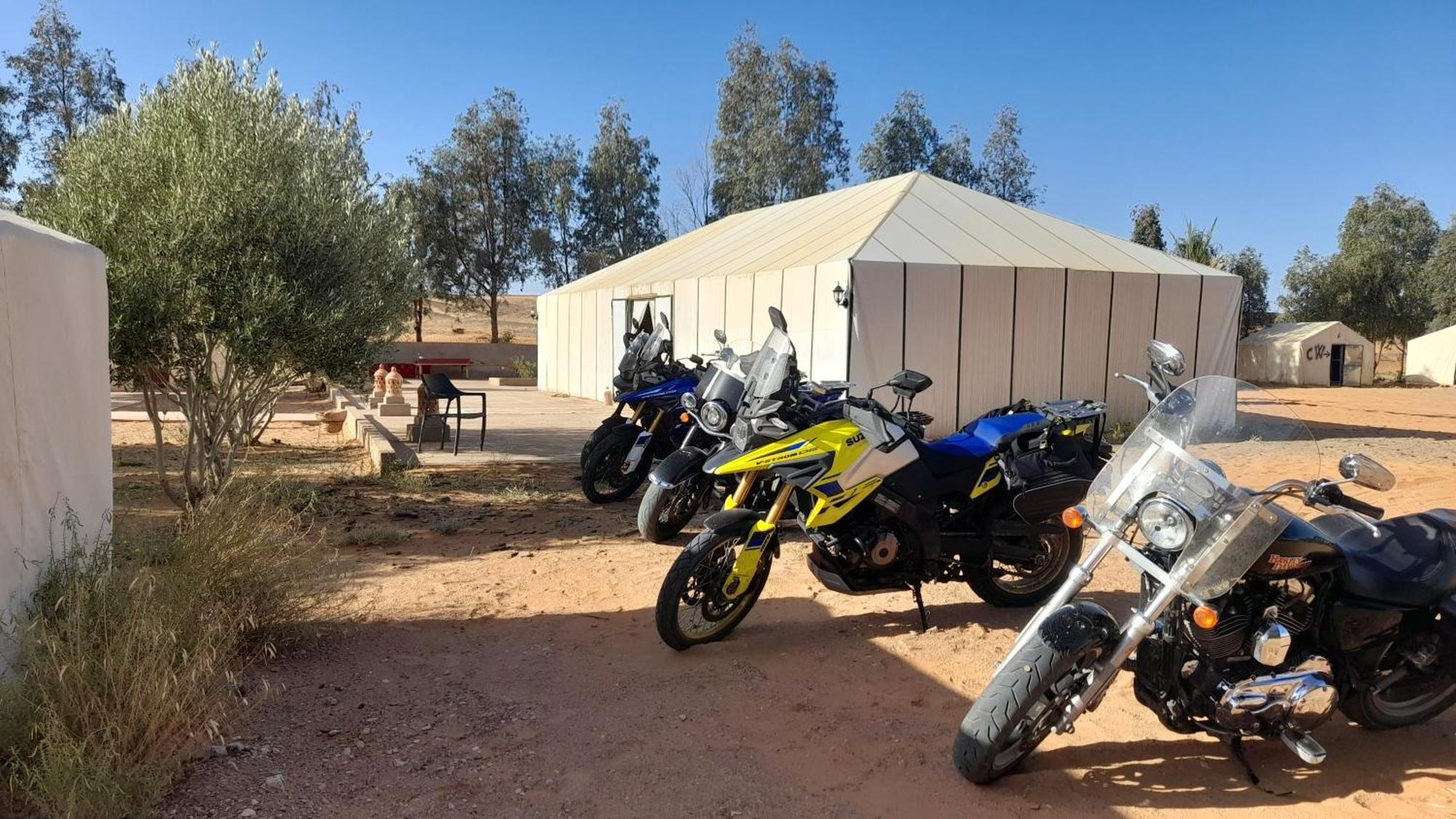 Trek Desert Morocco Sarl Taouz Eksteriør billede